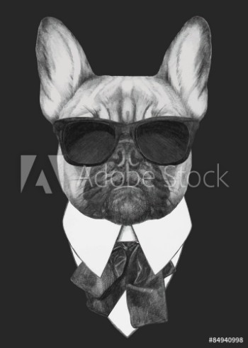 Picture of Hand drawn fashion Illustration of French Bulldog Vector isolated elements